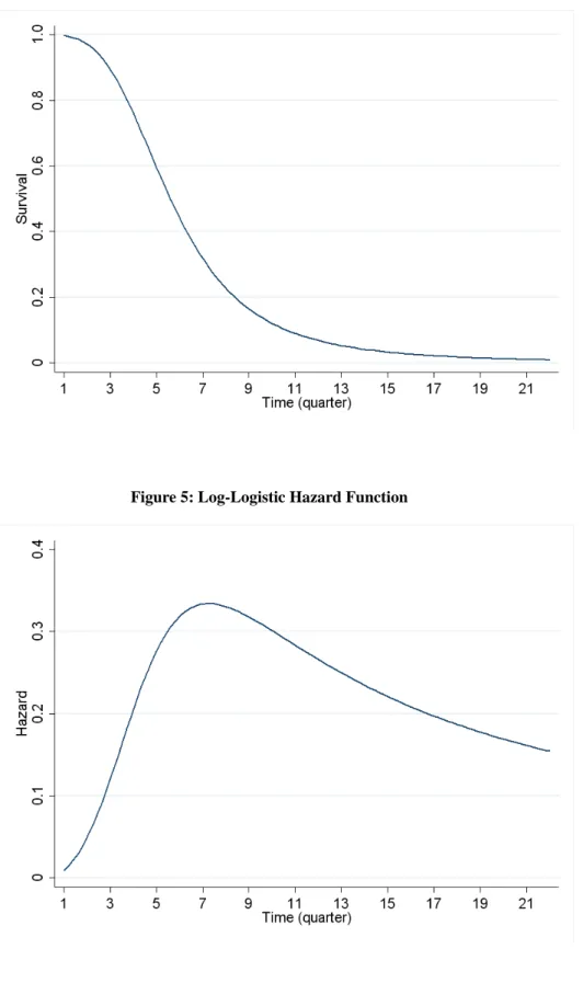 Figure 4: Log-Logistic Survival Function 