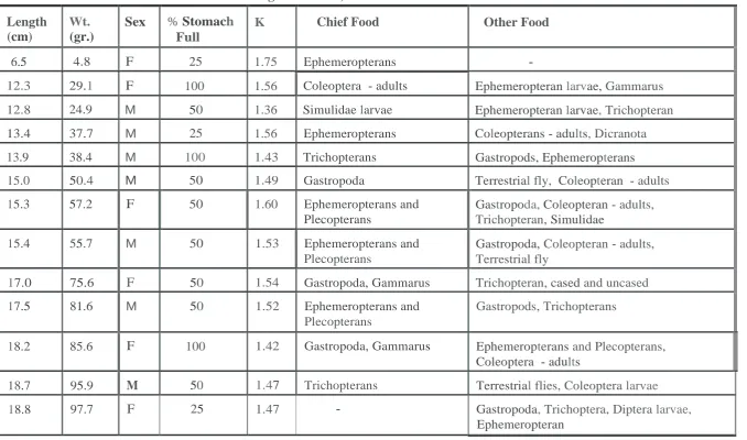 TABLE  8.   Stomach  contents of fish in the Aughrim  River, June 1991.