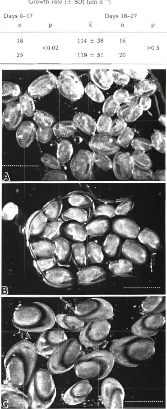 Table 1.  Mytilus  edulis. Initial mean lengths and growth rates  ( _ t   SD) of  post-larvae during a n  experimental period (Days 0 to 17)  of  either high  (11  000 to  16 000 lux) or low (1  to 40 lux) light intensity and a subsequent control period (D
