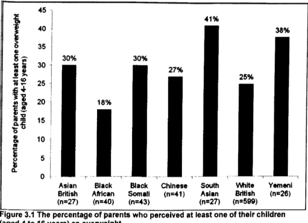 Figure 3.1 The percentage of parents who perceived at least one of their children (aged 4 to 16 years) as overweight