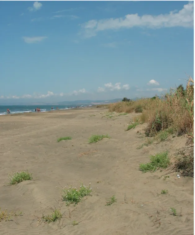 Fig. 1 - An overview of the study area where the line transect method has been carried out