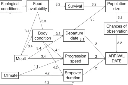 Fig. 3. Potential impacts of climate on the arrival date of a migratory bird species. This would be valid both for spring and autumn migration