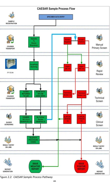 Figure 2.2:  CAESAR Sample Process Pathway  