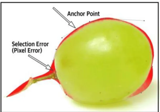 Figure 1. Anchor Point and Selection Error Area 