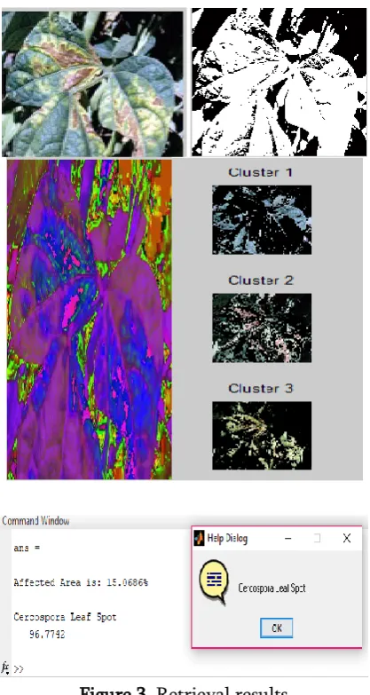Figure 3. Retrieval results 