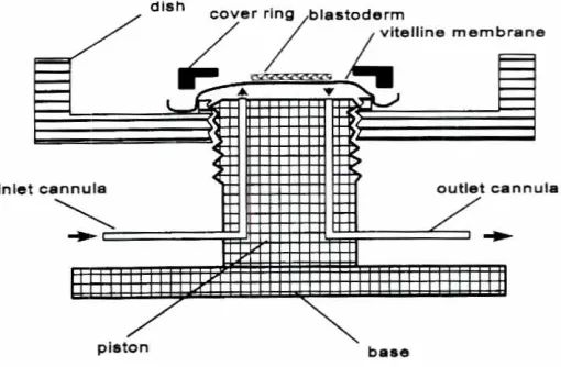 Figure 1 shows a ring with circularnot state how the glass rings were made, but histhe presentfoundthe vitellinestudentsectionsconveniently.affects several aspectsgular cross-section,ring