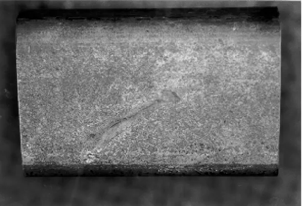 Figure 1. Sample of surface damaged railway track.
