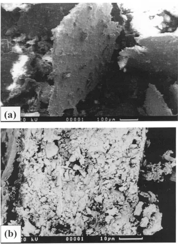 Figure 9. SEM images of granite debris after passage through the contact. (a)typical flakes of granite; (b) detail of the edge of a flake (through the thickness)revealing that it is made up from agglomerated sub-grains.