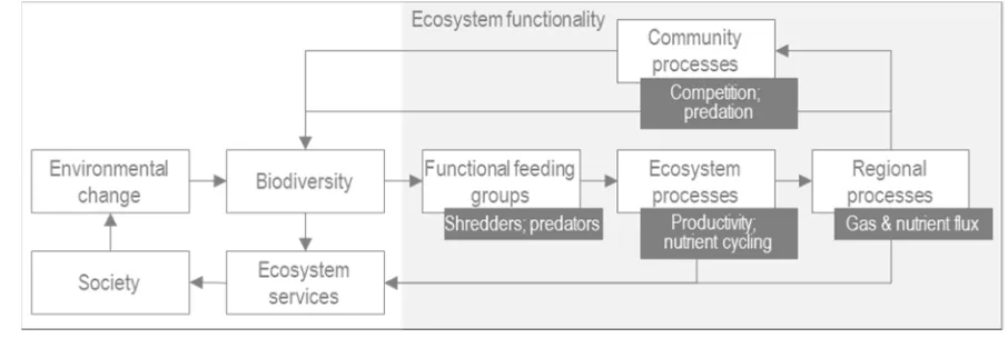 Figure 1. Conceptual diagram of the linkages between biodiversity, ecosystem functionality (inset represent examples of functions) and ecosystem services