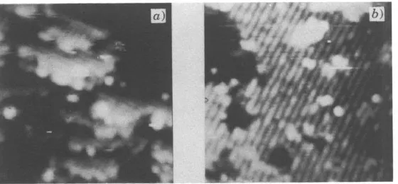 Fig. 2. rows as the Fe rows (B-sites) in the Fe-0 lanes. (Tunnelling current: observed terraces are separated by ( Z = l n A ,  spacing of - a) STM image ((155 x 165) A2) of the C, and C, planes of magnetite obtained with a W tip