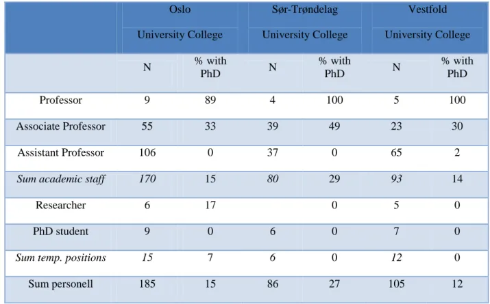 Table 1: Academic staff in permanent and temporary positions at the three university colleges 