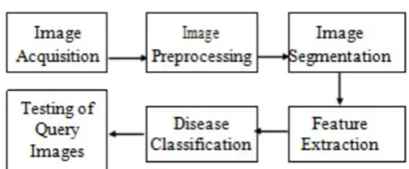 Figure 1. Basic Concepts for Disease Detection 