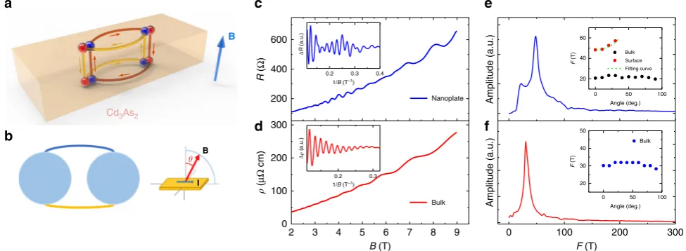 Fig. 1 Formation of Weyl orbits and new 2D Fermi surface in Cdoscillations in sample #1 and Cdperpendicular to the sample surface