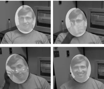 Figure 1. Cropped images from a 1200 frame sequence taken with handheld video camera. The ellipse shows the region in which the motion and appearance are estimated.