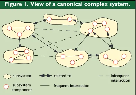 Figure 1.  View of a canonical complex system.