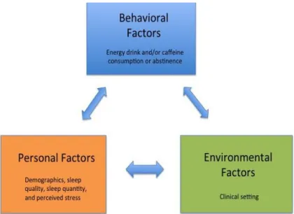 Figure 2.  Bandura’s Social Cognitive Theory  Review of the Literature 