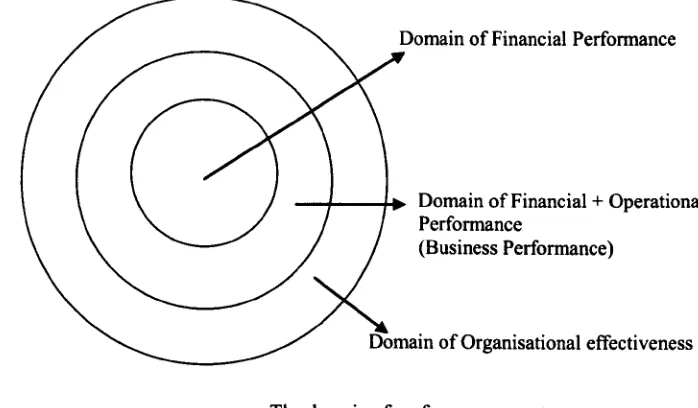 Figure 3.2 - Circumscribing the domain of BP (Venkatraman and Ramanujam, 1986) 