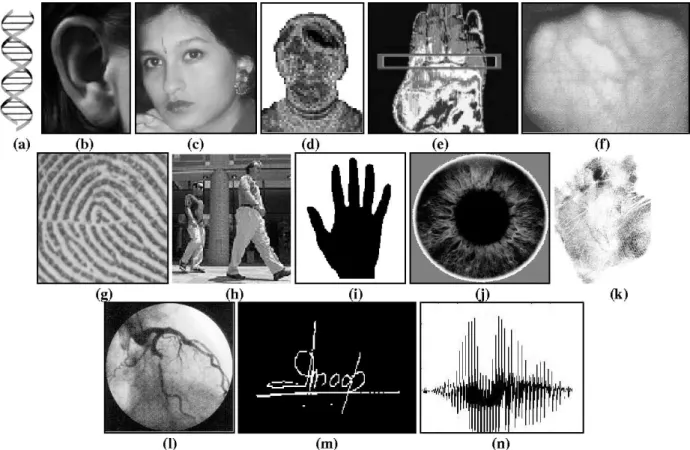 Fig. 3. Examples of biometric characteristics: (a) DNA, (b) ear, (c) face, (d) facial thermogram, (e) hand thermogram, (f) hand vein, (g) fingerprint, (h) gait, (i) hand geometry, (j) iris, (k) palmprint, (l) retina, (m) signature, and (n) voice.