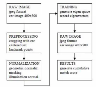 Fig. 3. Steps of PCA method. 