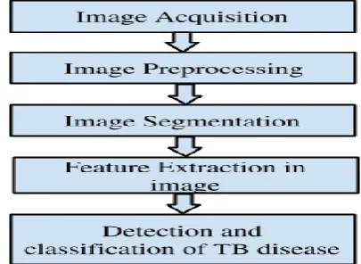 Figure 1. Basics steps for TB disease detection 