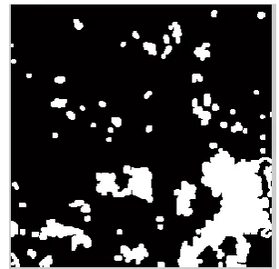 Figure 6. Segmented ROI 