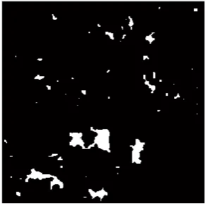 Figure 12. Result image 