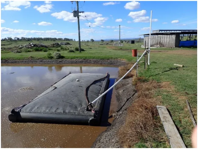 Figure 3. The experimental floating pontoon deployed on the heavily loaded anaerobic (HLA) pond