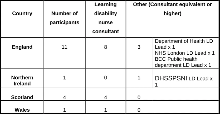 Table 5a: Descriptive phase participants (n = 17).  