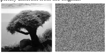 Figure 23. Original Image Figure 24. Cipher Image 