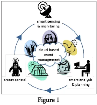 Figure 1 [4]. Basvanth 