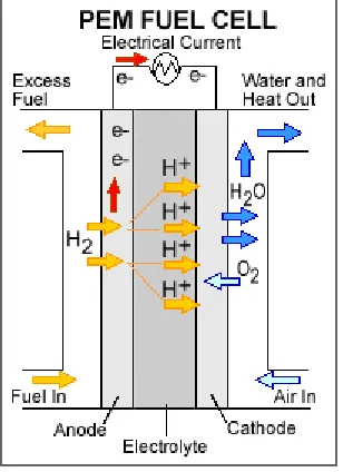 Figure 2: Working principle PEM fuel cell�