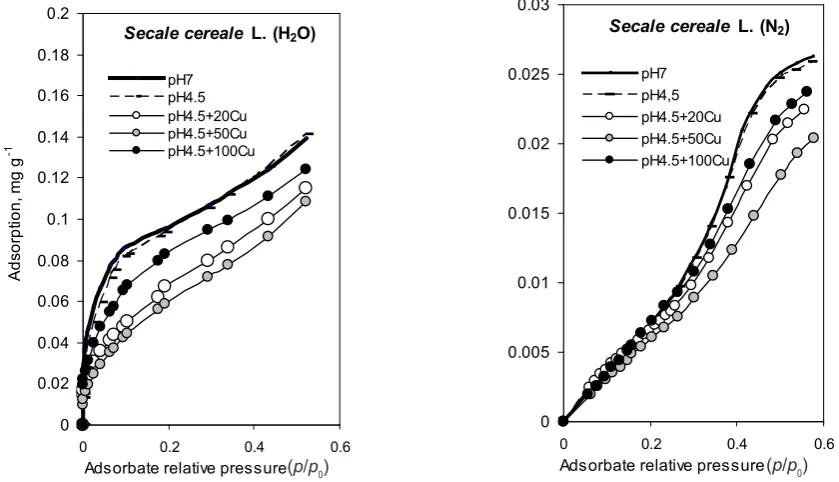 Fig. 1.Water vapour and nitrogen adsorption isotherms for Secale cereale L. roots growing in a nutrient solution prepared according to Hoagland with different contents of Cu+2