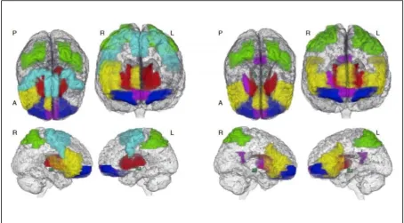 Figure 1.1. Stop success and stop fail networks characterised using factor analysis of the brain activation during the SSRT in 1896 14-year-olds from the IMAGEN sample (Whelan et al., 2012)