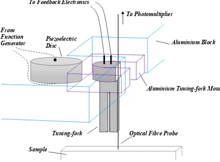 Figure 3.1: The Dither Assembly and sample. The optical fibre tip was super-glued to the 