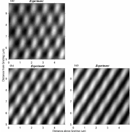 Figure 4.7: Experimentally measured Talbot diffraction patterns across the Gaussian beam shape