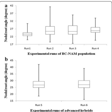 Fig. 4 Box and whisker plots of nodal root angle of sorghum in the phenotyping platform for a a BC-NAM population screened across four runs and b advanced hybrids screened across two runs