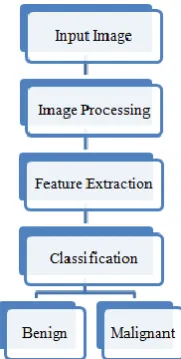 Figure 1. Tumor classification system 
