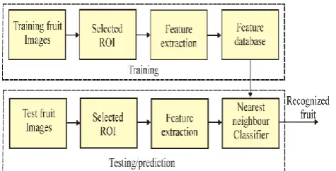 Figure 3. Block diagram of Machine Vision System 