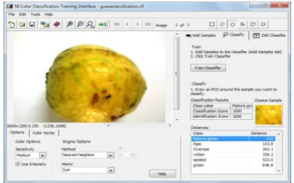 Figure 4. NI color classification training interface 