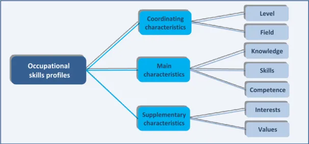 Figure 3  Occupational skills profile: main dimensions 