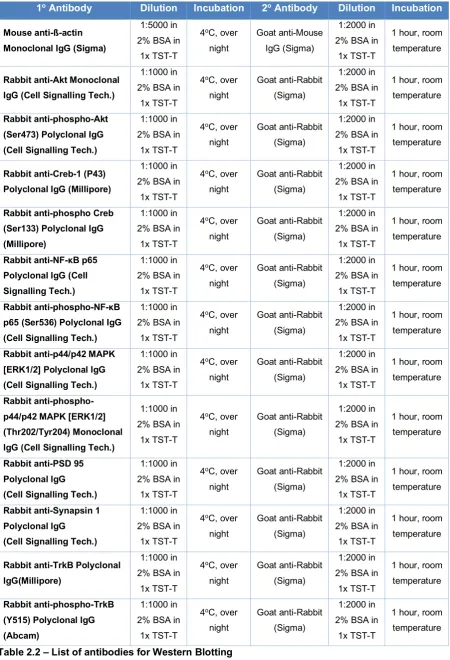 Table 2.2 – List of antibodies for Western Blotting 