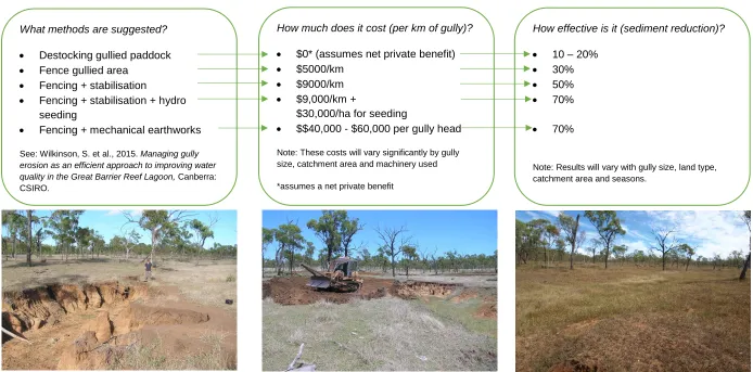 Figure 10: General costing information on gully rehabilitation methods 