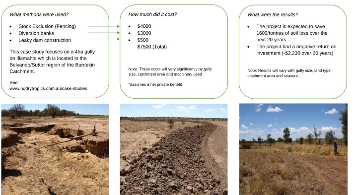 Figure 11: Case study of gully rehabilitation in the Burdekin catchment 