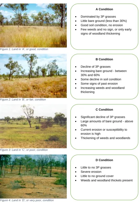 Figure 4: Land in ‘D’, or very poor, condition 