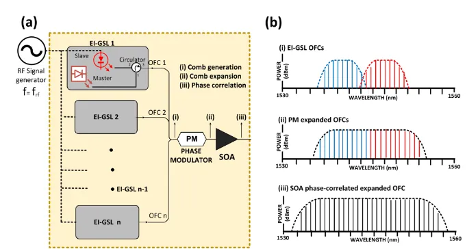 Fig. 1. (a) Block diagram of the proposed comb expansion and phase correlation technique; (b) illustration of the spectral output at each stage: (i) individual OFCs, (ii) PM output, (iii) SOA output