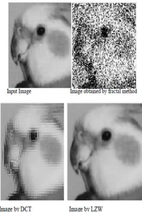 Figure 3. Result of Compressed Image of bmp Type 