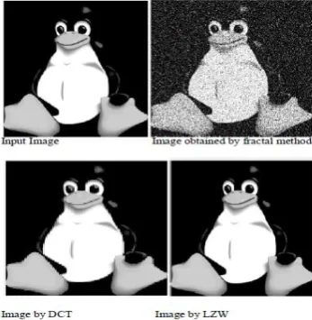Figure 6. Result of Compressed Image of jpeg Type 