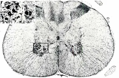Fig. 2. Localization