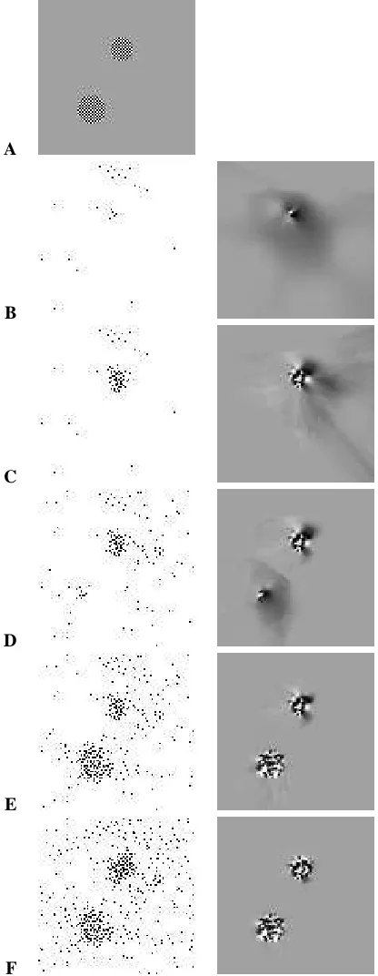 Figure 6. Progress of the sampling. The im-age representing the phenomenon is shownin A