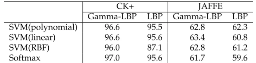 Table 4. Recognition rates on different classifiers with and without gamma correction